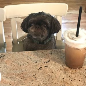 Closet 🤎💜 Closeout!